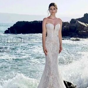l'amour calla blanche wedding dress size 16